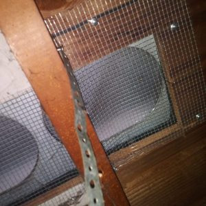 rodent proofing7-min