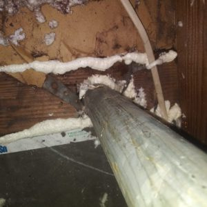 rodent proofing5-min