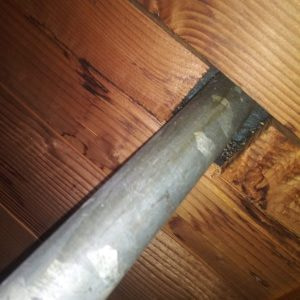 rodent proofing9-min